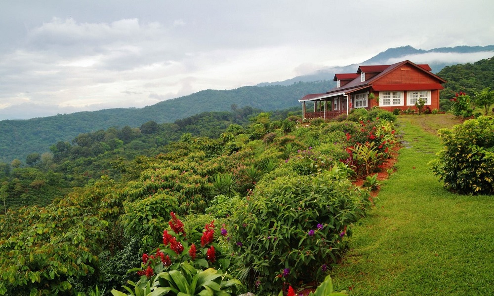 Cuánto cuesta la Ruta del Café en Chiapas