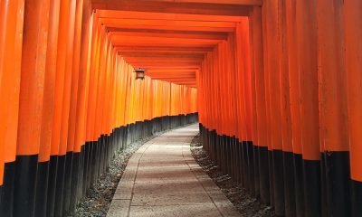 Cuánto cuesta ir a Japón