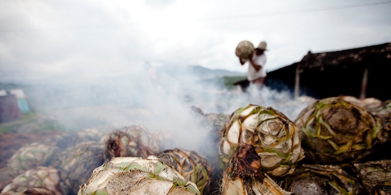 Cuánto cuesta ir a Oaxaca y hacer la ruta del mezcal