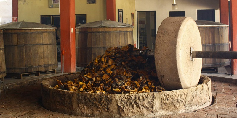 Cuánto cuesta ir a Oaxaca y hacer la ruta del mezcal