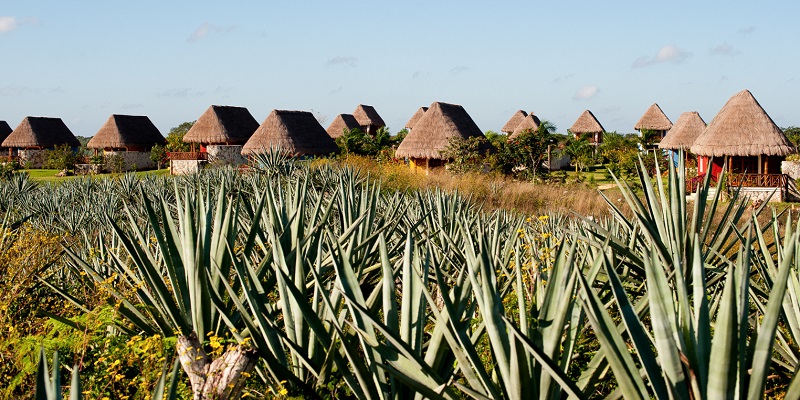 Cuánto cuesta ir a Yucatán y visitar sus haciendas y cenotes