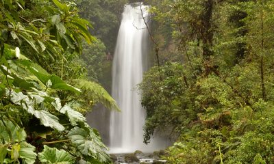 Cuánto cuesta ir a Costa Rica y qué no te debes perder