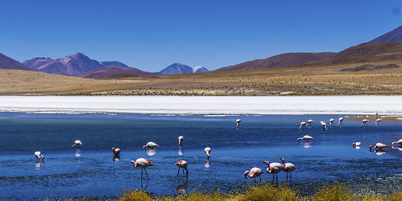 Cuánto cuesta viajar a Bolivia